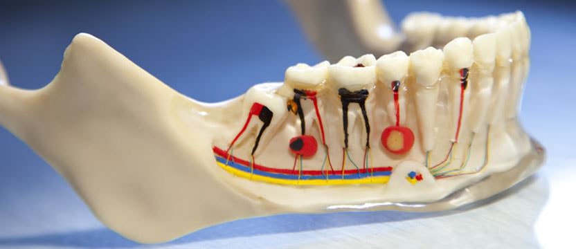 Rezeksiyon Nedir?
